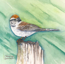 Load image into Gallery viewer, Chipping Sparrow 8x8 Watercolor Painting
