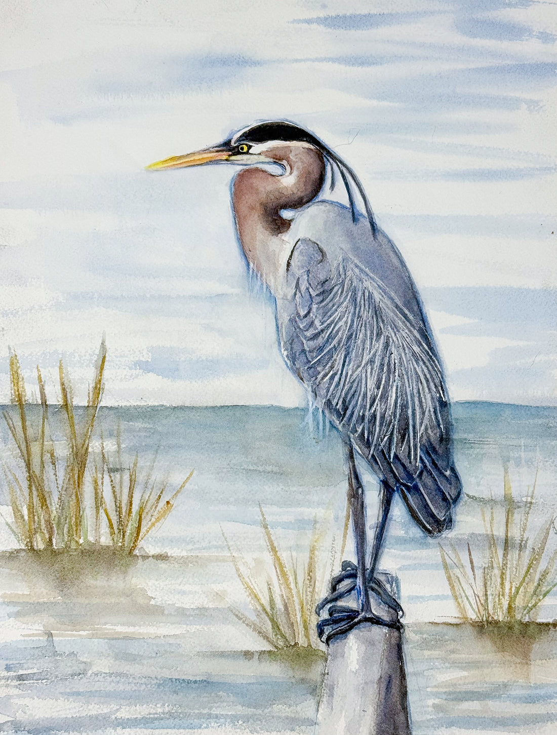 Heron Elegance by the Water 11x14 Watercolor Painting