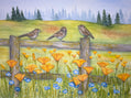 Meadow Melodies