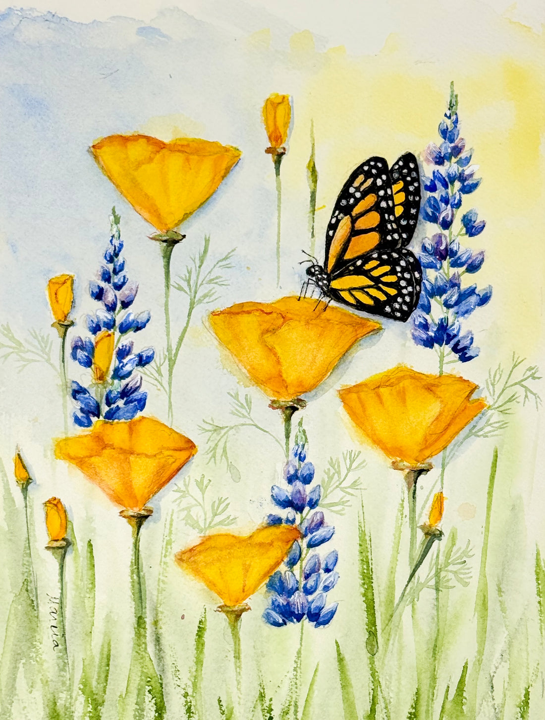 Golden Monarch Blossoms