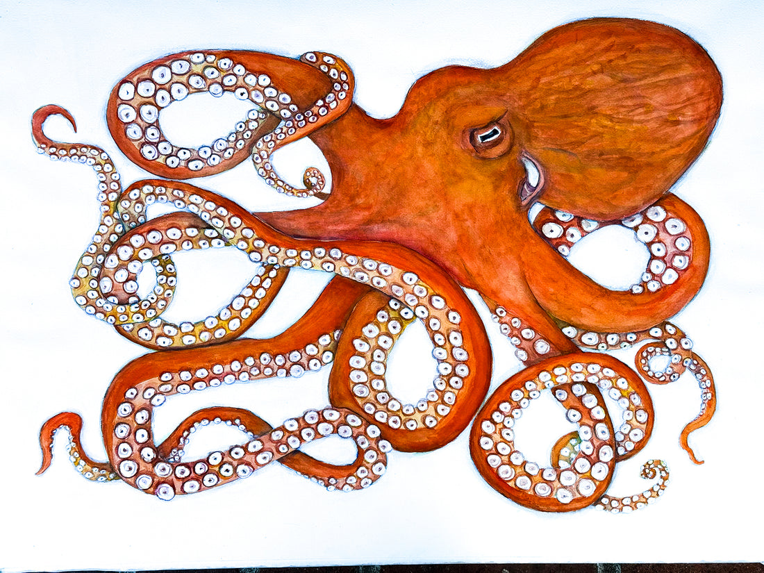 Octopus Dances in the Deep