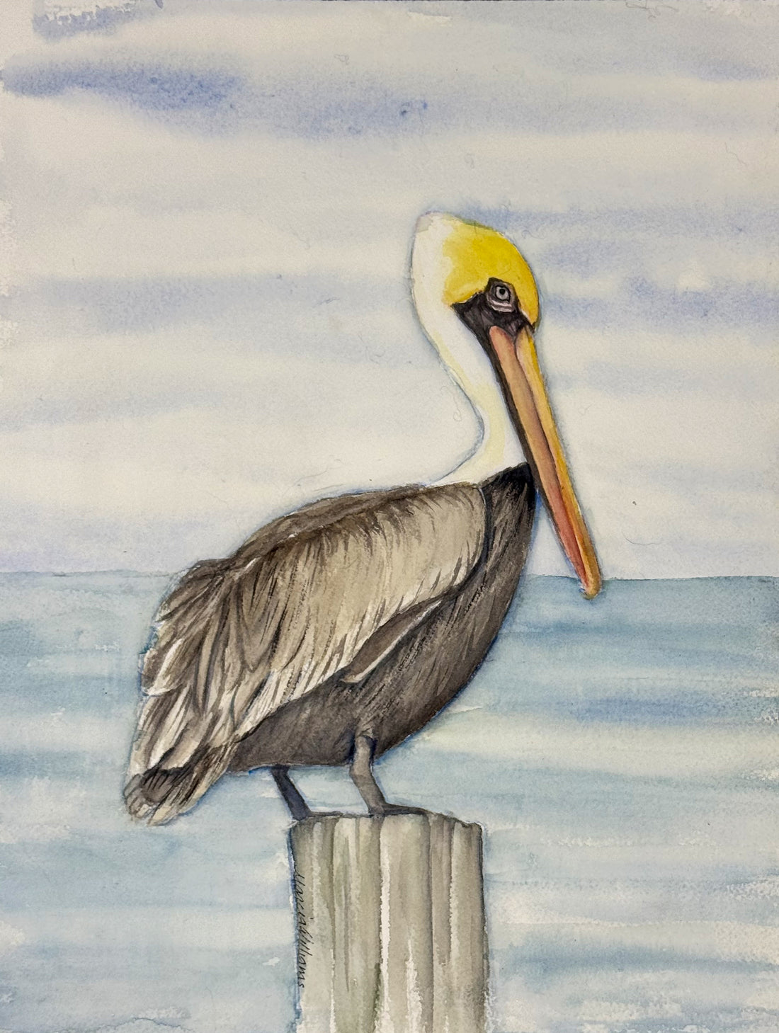 Pelican on the Pier