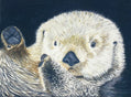 Sea Otter 11x14 Watercolor Painting