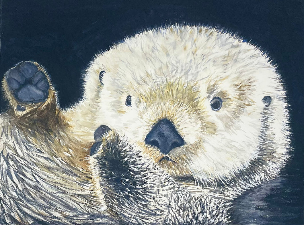 Sea Otter 12x16  Watercolor Painting, Prints, and Cards