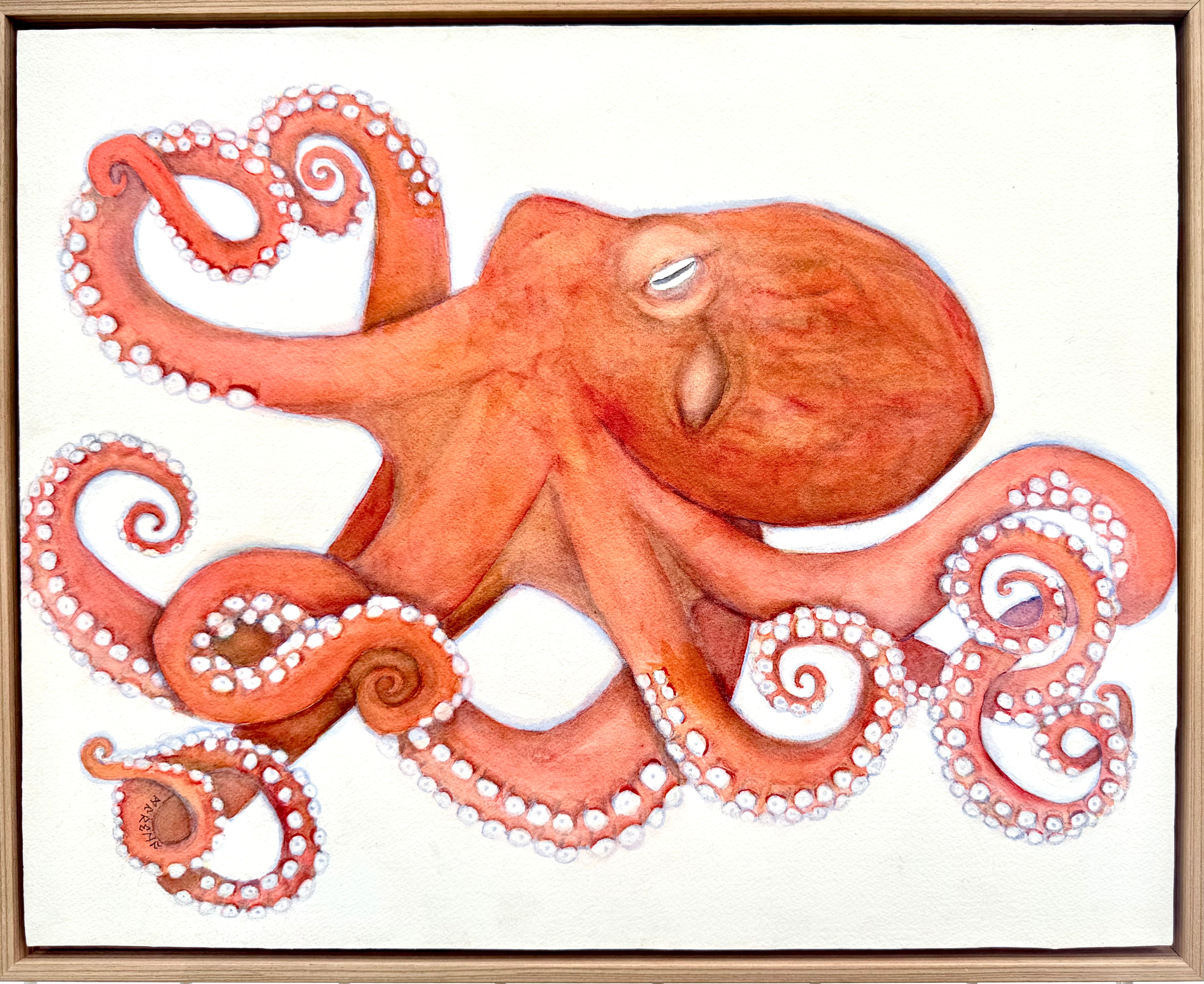 Paintings