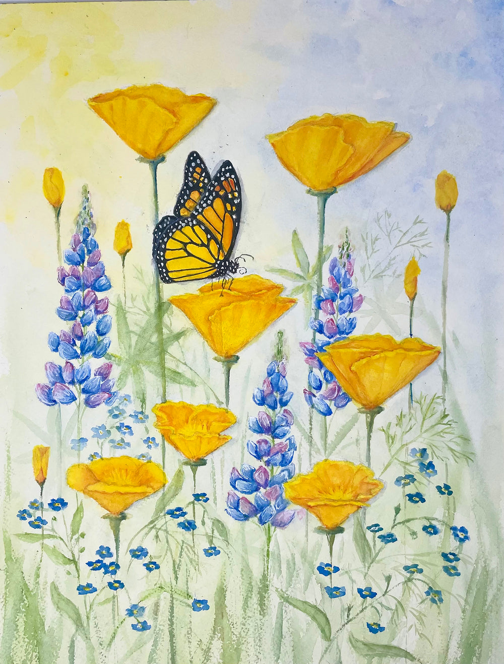 California Monarch, Poppies, and Lupines Prints, and Cards