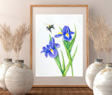 Load image into Gallery viewer, Bee and Purple Iris Watercolor  Prints, and Cards

