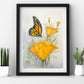 Brilliant California Monarch Butterfly and California Poppy  Prints and Cards