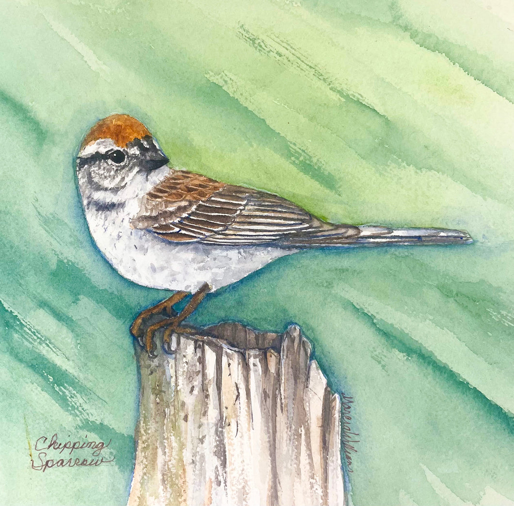 Chipping Sparrow 8x8 Watercolor Painting