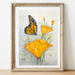 Brilliant California Monarch Butterfly and California Poppy  Prints and Cards