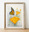 Brilliant California:  14x20 Monarch Butterfly and Golden Poppies Watercolor Painting