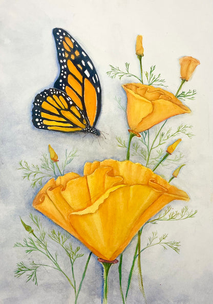 Brilliant California Monarch Butterfly and California Poppy  Prints and Cards