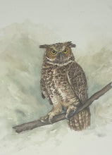 Load image into Gallery viewer, Great Horned Owl Watercolor Painting
