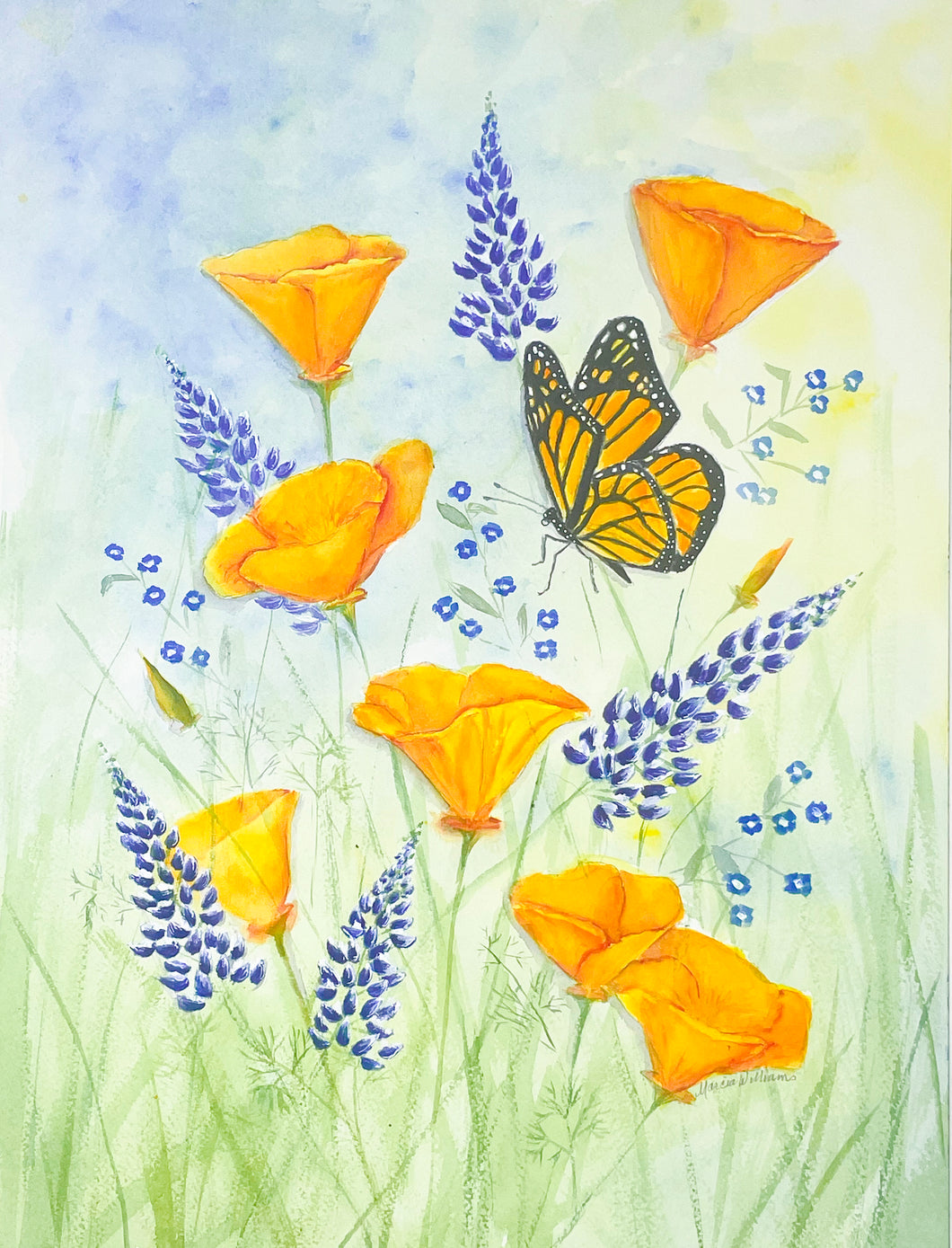 Monarch, Lupines, and Poppies 12x16 Watercolor
