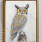 Silent Vigil of the Owl