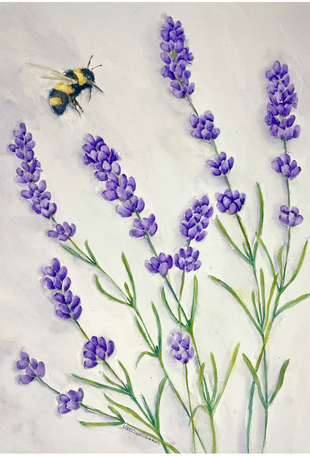 Lavender Bumble Bee, 14x20 Watercolor Painting