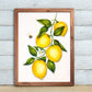 Lemons and Bee – A Lively Still Life:  8x10 Watercolor Painting