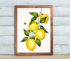 Lemons and Bee – A Lively Still Life:  8x10 Watercolor Painting