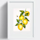 Lemons and Bee – A Lively Still Life:  8x10 Watercolor Painting