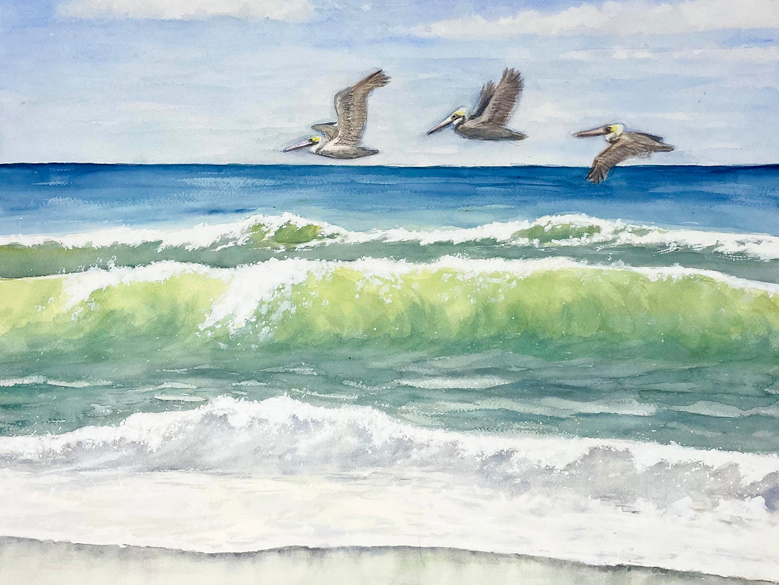 Pelican Ocean