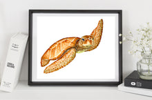 Load image into Gallery viewer, Green Sea Turtle
