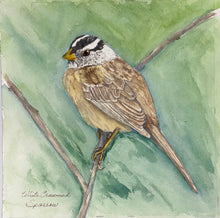 Load image into Gallery viewer, Wnite Crown Sparrow 8x8 Watercolor Painting
