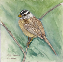 Load image into Gallery viewer, White Crowned Sparrow 8x8 Watercolor Painting
