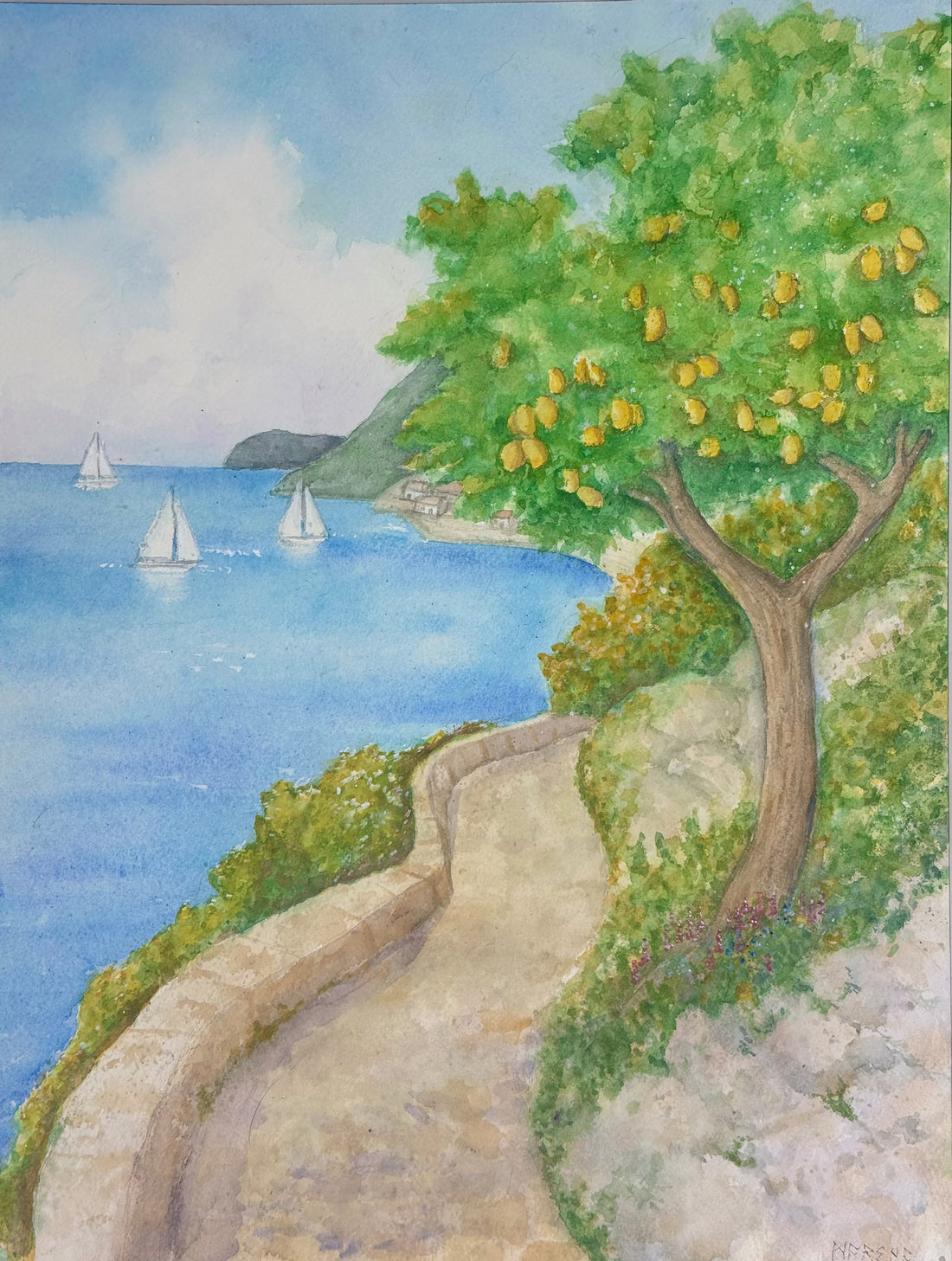 Beyond the Lemon Tree