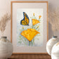 Brilliant California Monarch Butterfly and California Poppy  Prints and Cards