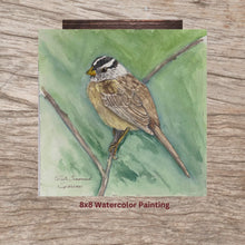 Load and play video in Gallery viewer, White Crowned Sparrow 8x8 Watercolor Painting
