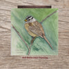 Wnite Crown Sparrow 8x8 Watercolor Painting