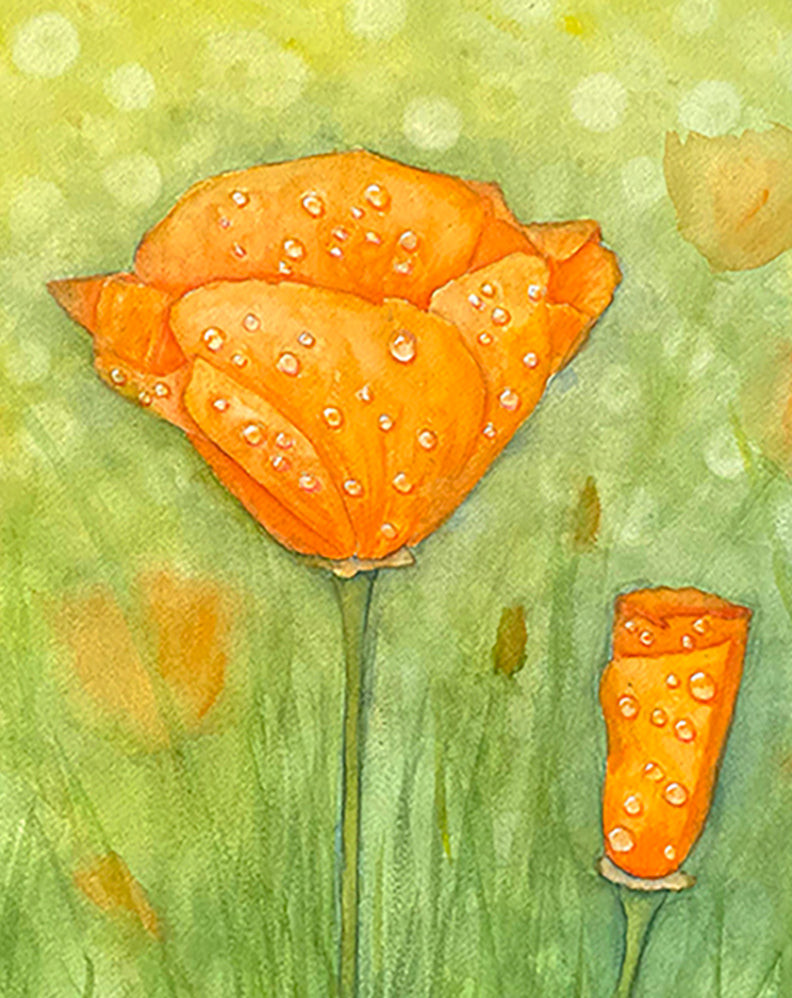 Golden California Poppies in the Rain. 11x14 Watercolor Painting