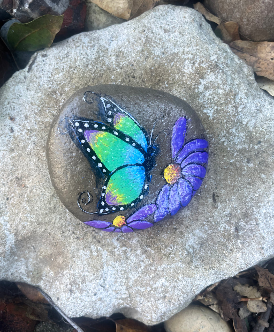 Butterfly and Flower Rock