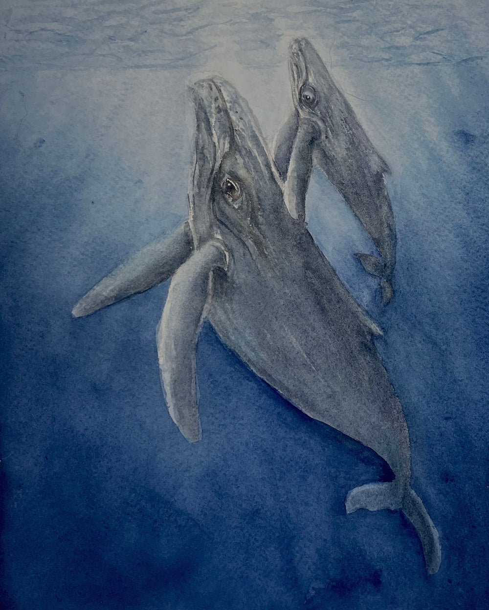 Ocean Embrace:  Mama Humpback Whale and Baby 8x10 Watercolor Painting