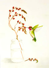 Load image into Gallery viewer, Anna&#39;s Hummingbird Print
