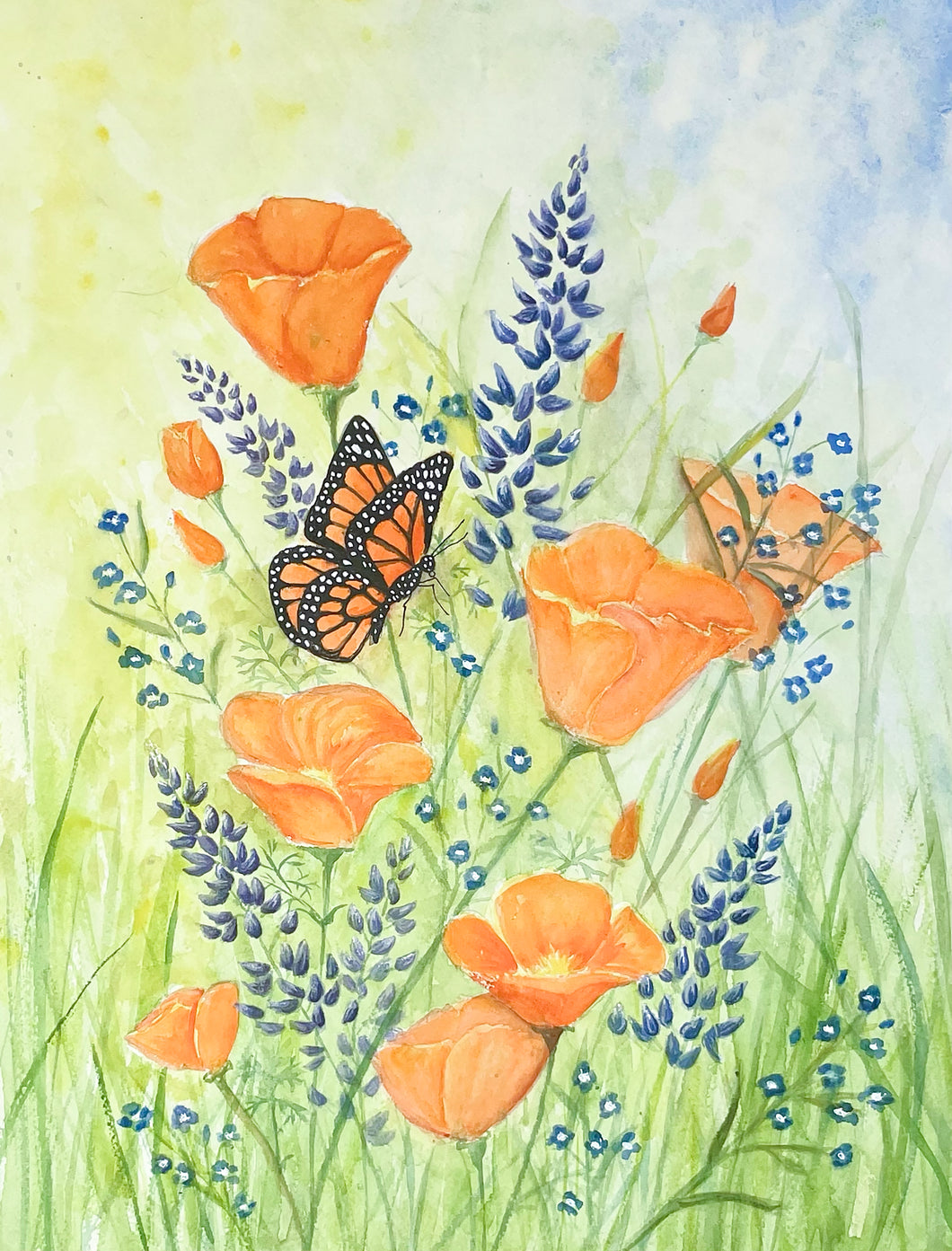 Monarch and Poppies