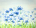Blue Flower Field Prints and Cards