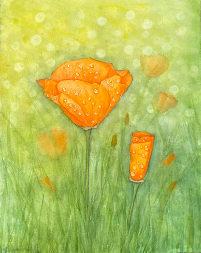 Golden Poppies in the Rain  Prints, and Cards