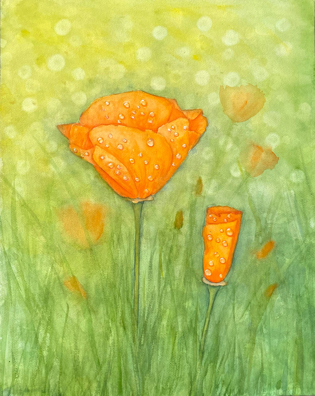 Golden Poppies in the Rain Watercolor 16x20 Painting, Prints, and Cards