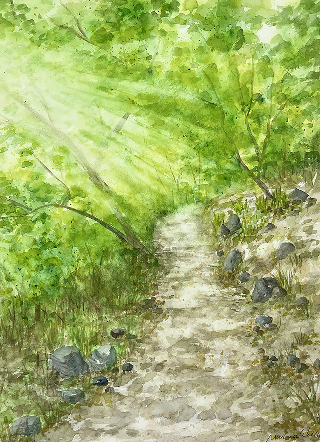 Forest Trail Prints and Cards
