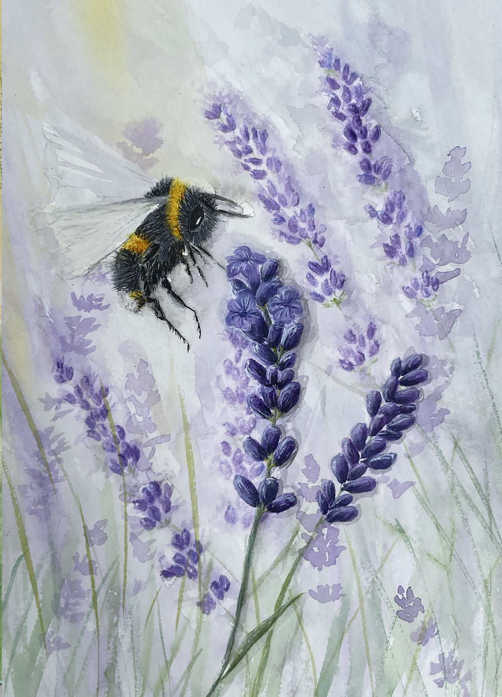 Bee and Lavender Prints and Cards