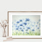 Blue Flower Field Prints and Cards
