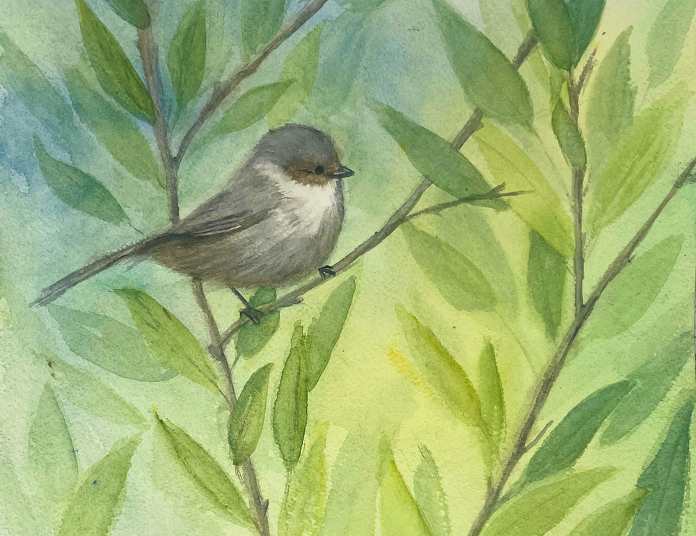 Bushtit Prints and Cards