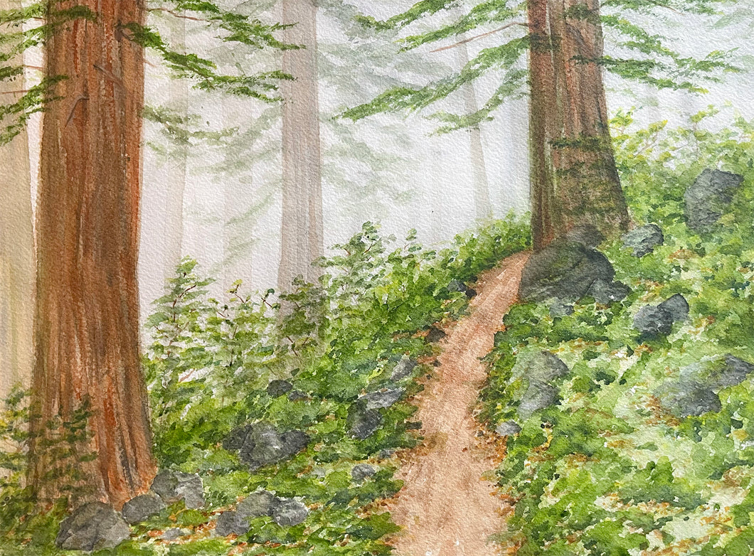 Foggy Mountain Path Prints and Cards