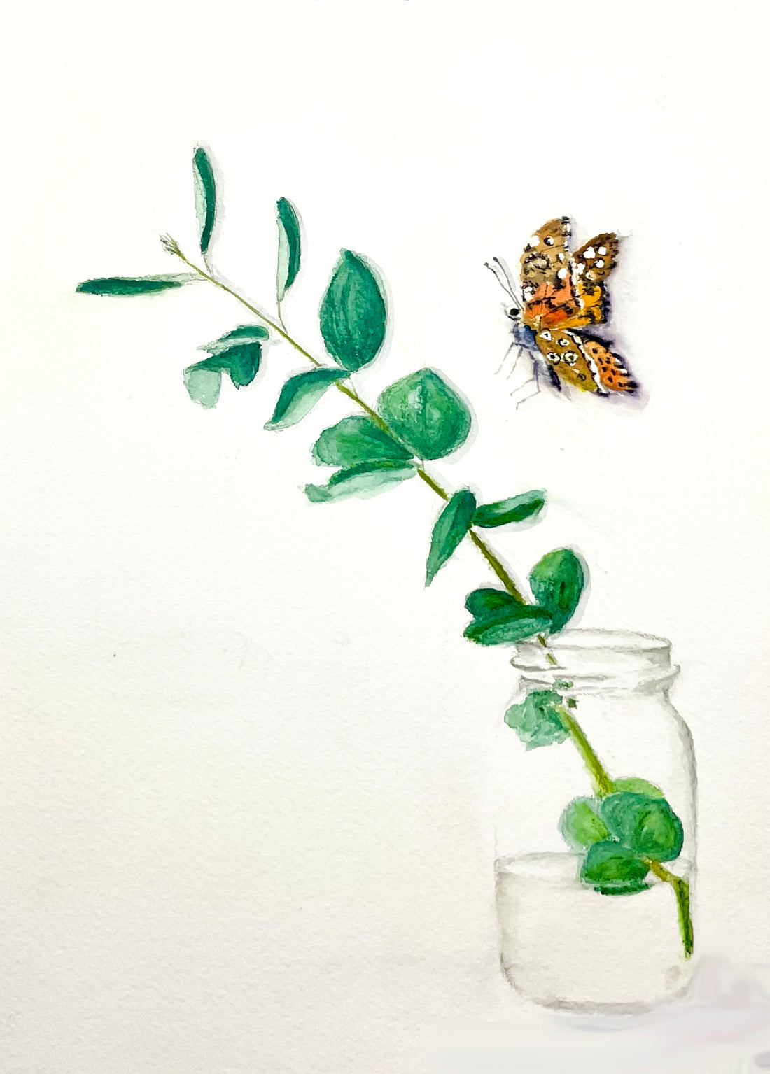 Painted Lady