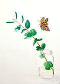 Painted Lady