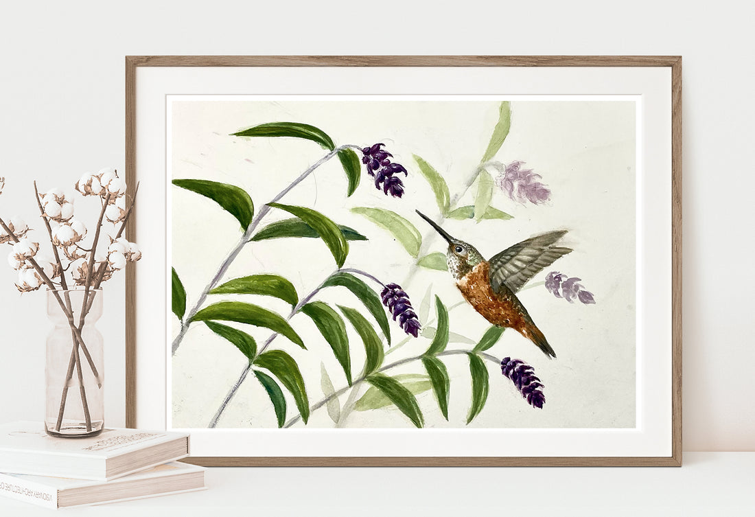 Hummingbird and Mexican Sage Prints and Cards