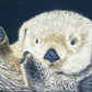 Sea Otter 11x14  Watercolor Painting