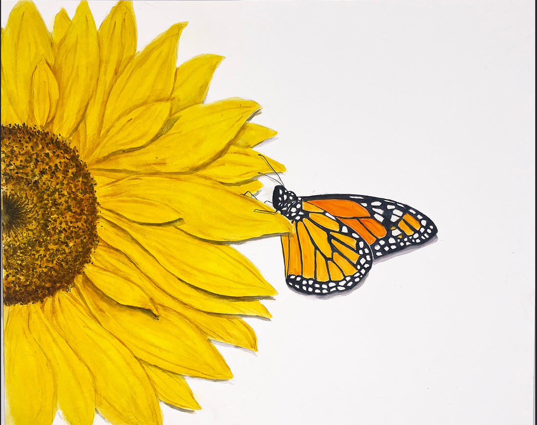 Monarch Butterfly and Sunflower Painting, Prints, and Cards