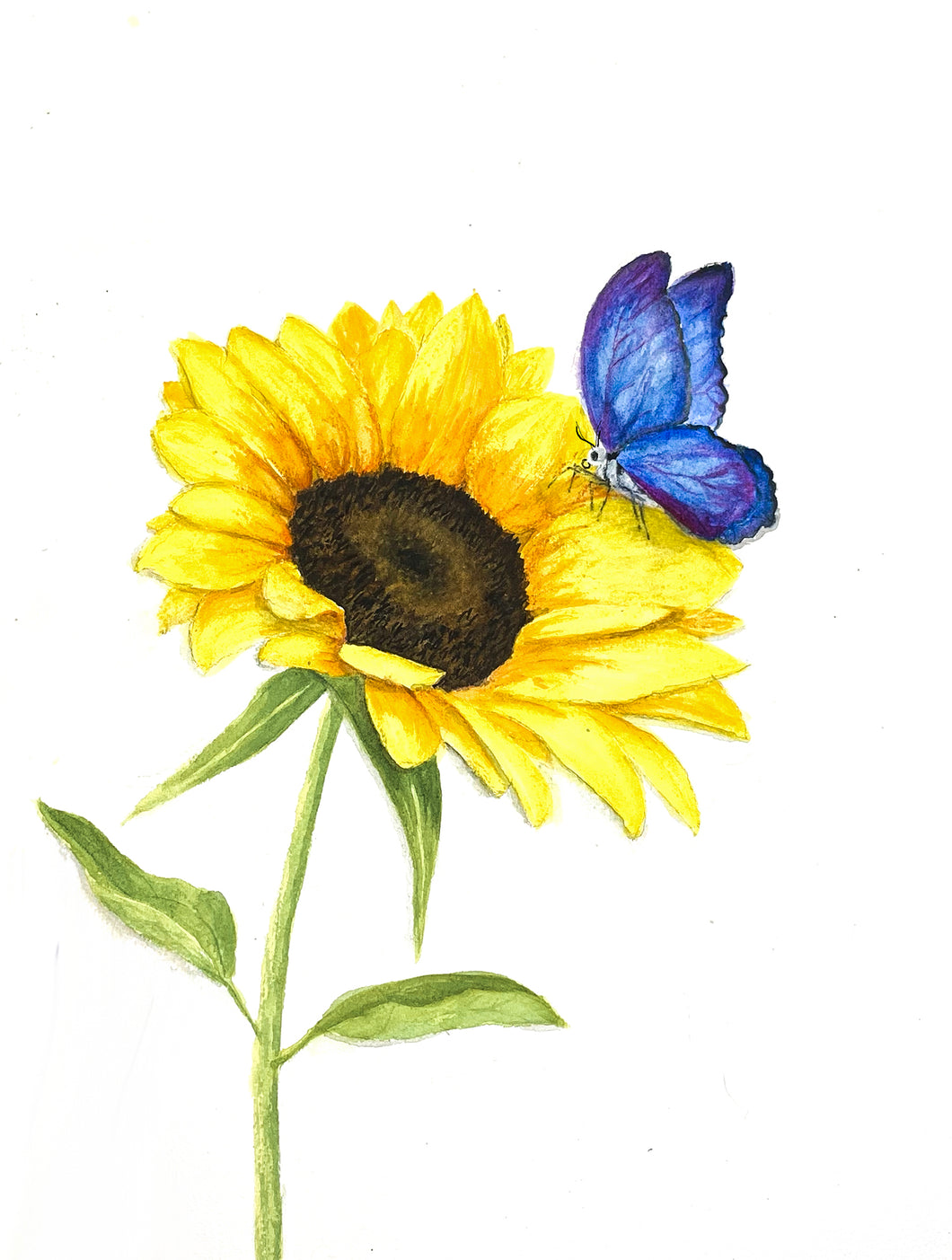 Sunflower for Ukraine